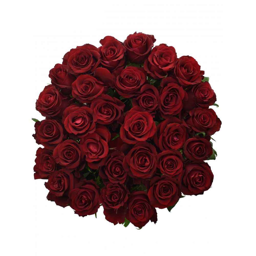 Тр Евер Ред 60 см