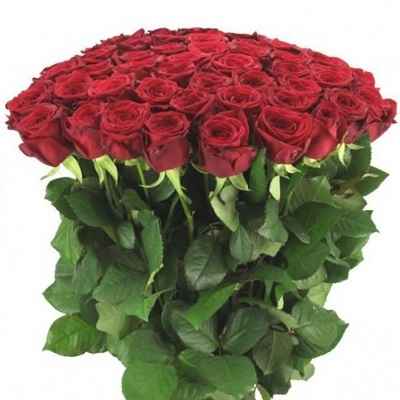 Ред Наомі 40 см 1