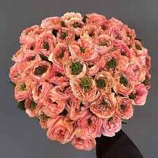 Тр Мандарин Експрешин 60 см