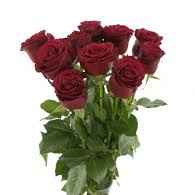 Тр Престиж 1 70 см