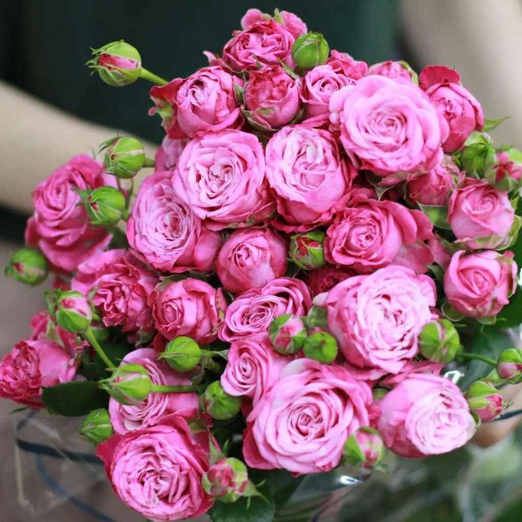 Тр Спрей Леді Бомбастик 60 см 1