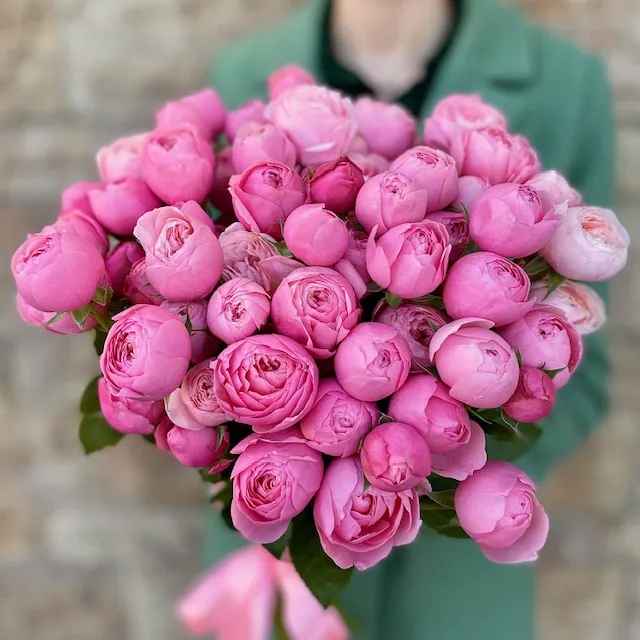 Тр Сілва Пінк 40 см 