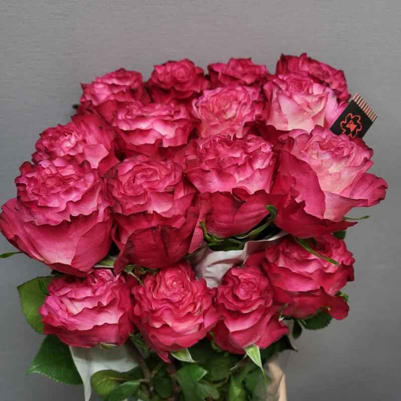 Тр Енчантмент