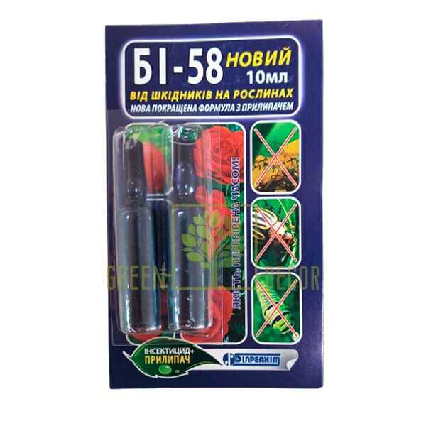 Бі 58