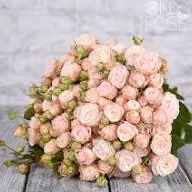 Тр Спрей Бомбастік 70 см/ 1