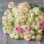 Тр Спрей Джелато 70 см/1