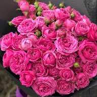 Тр Спрей Фруті Баблз 50 см