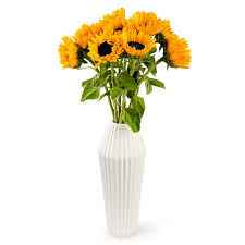 Соняшник зріз