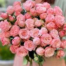 Тр Спрей Мадам Бомбастик 45 см/1