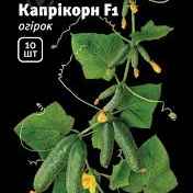 Огірок Капрікорн 10 шт