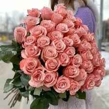 Тр Бі Світ 90 см