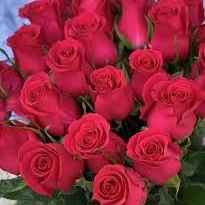 Тр Готча 70 см