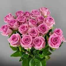 Тр Аква 60 см/1