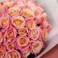 Тр Місс Піггі 40 см/1