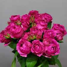 Тр Спрей Річ Баблз 40 см