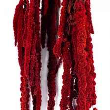 Стабілізований амарантус