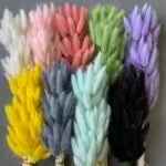 Лагурус Аззуро