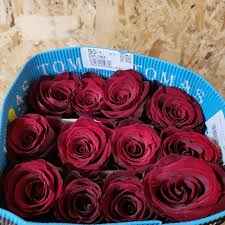 Тр Експлорер 60 см