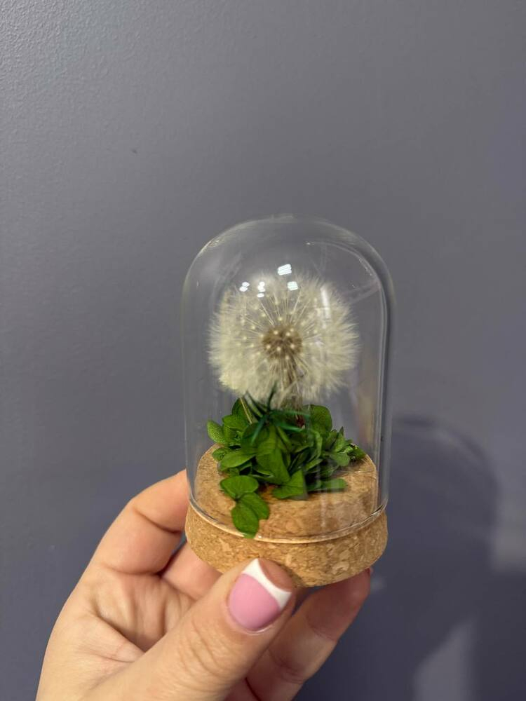 Одуванчик стабилизированный зеленый