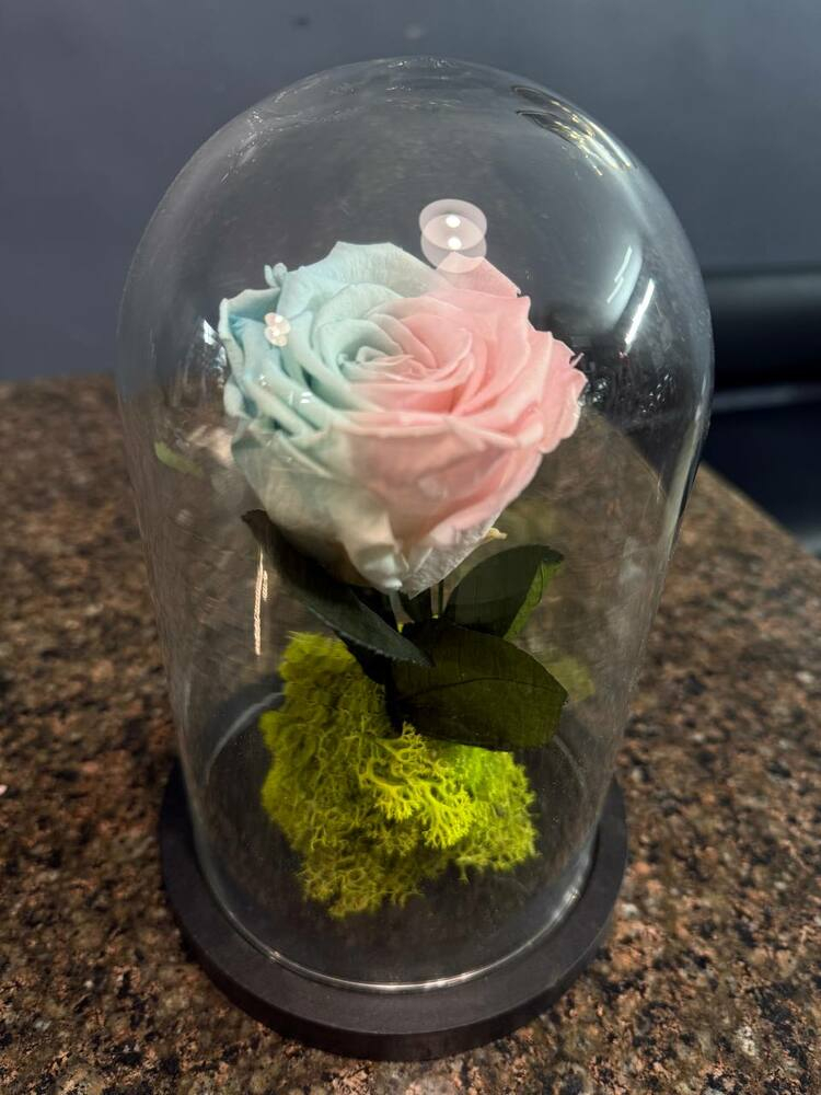 Стабилизированная радужная роза в колбе стеклянной колбе