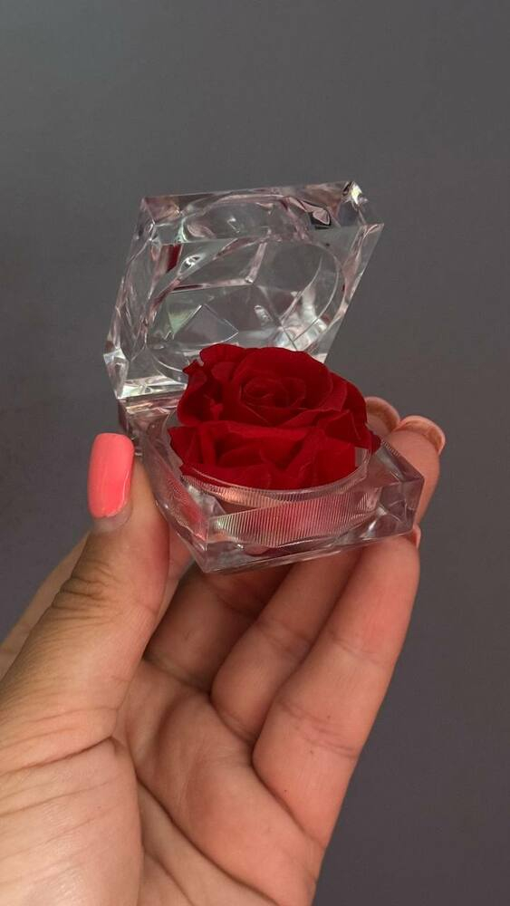 Стабилизированная живая красная роза в акриловом боксе