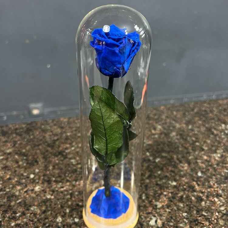 Стабилизированная синяя роза в стеклянной колбе, 24 см