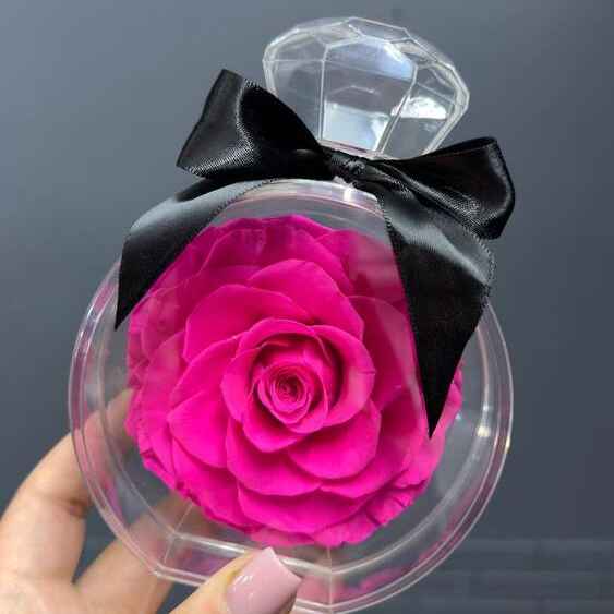 Стабилизированная роза фуксия в в оригинальном боксе