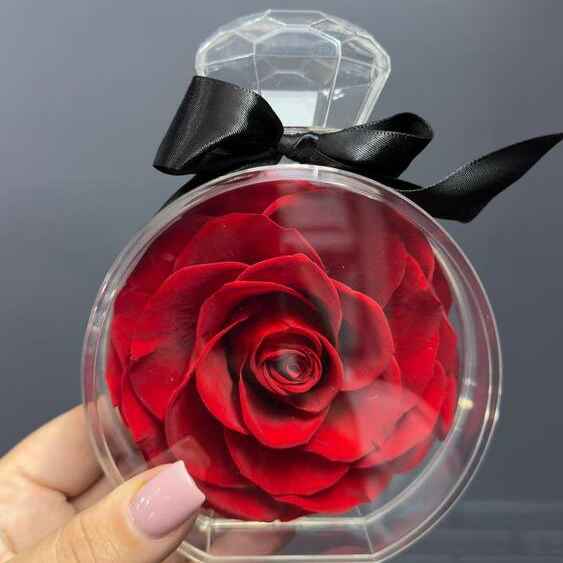 Стабилизированная роза красная в оригинальном боксе