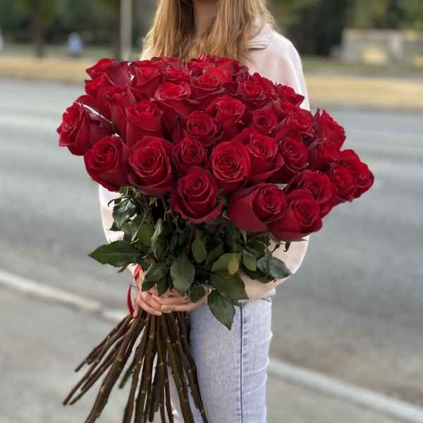 Роза Эксплоер 100 см