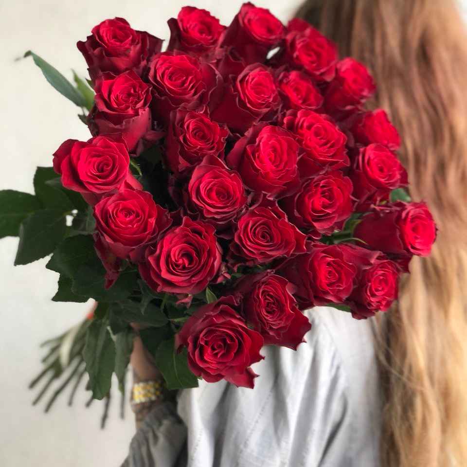 Роза Родос 80 см