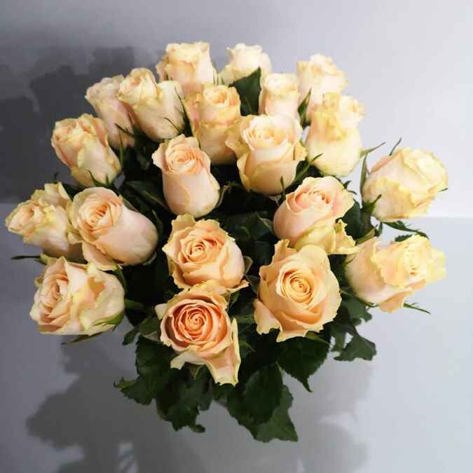 Роза Шарман 50 см