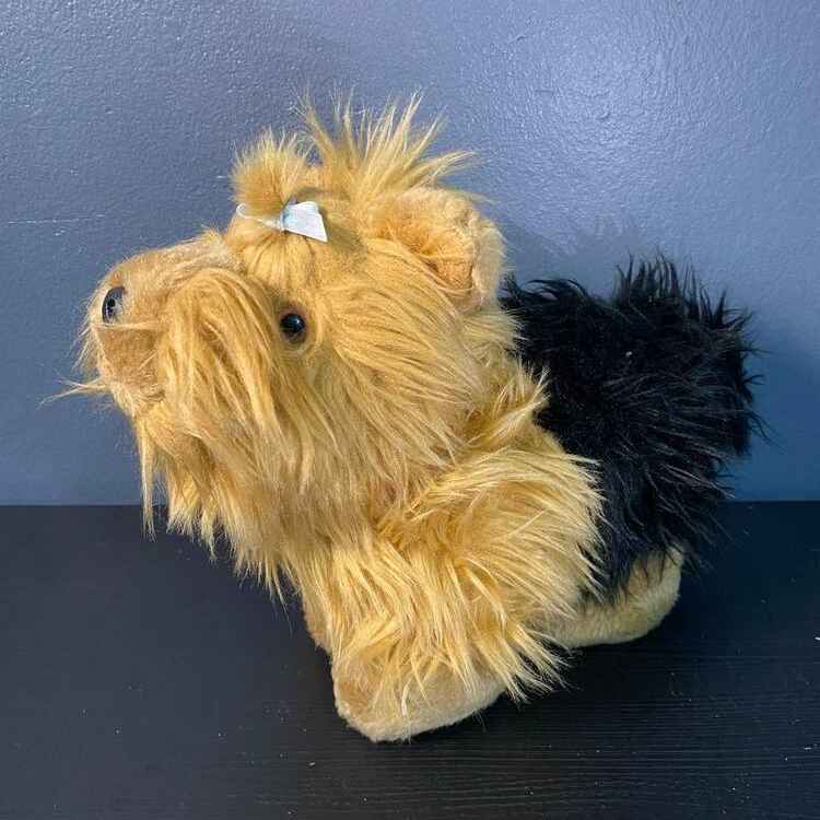 Йоркширский терьер с розовым ошейником