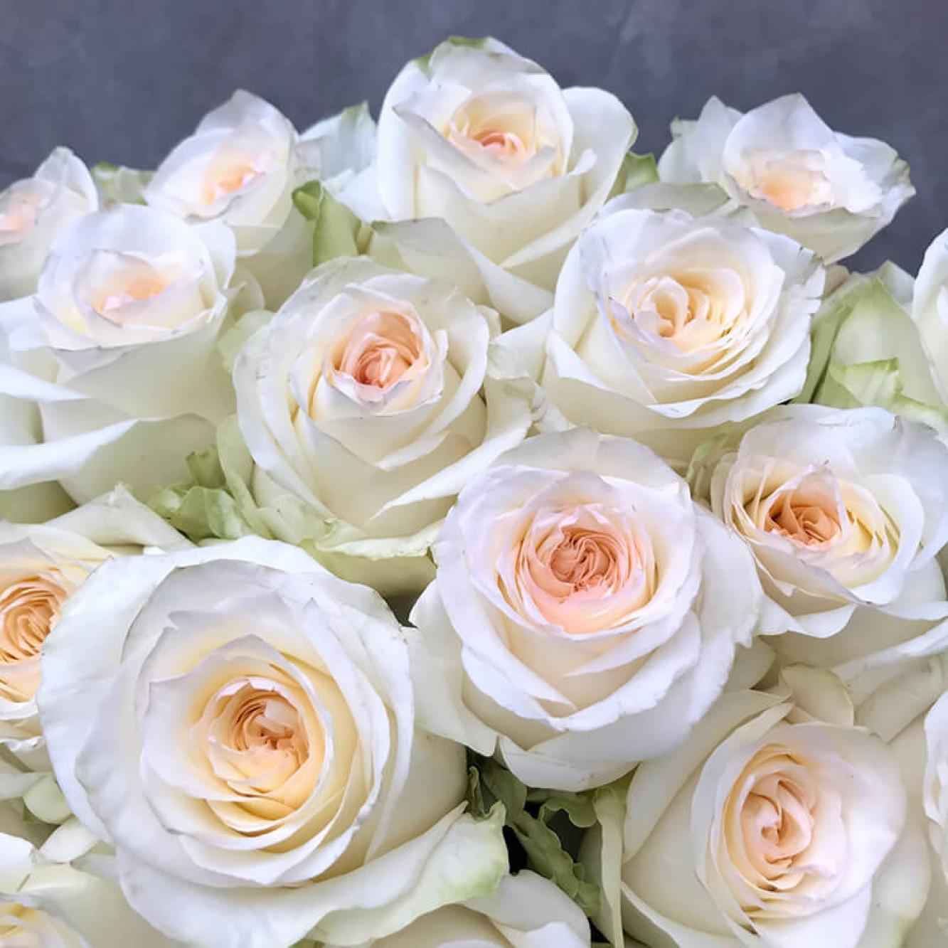 Роза Кендлайт 60 см пионовидная Эквадор