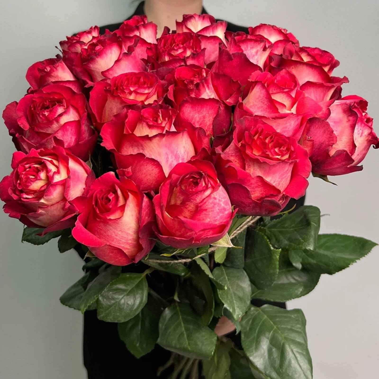 Роза Игуазу 70 см Эквадор