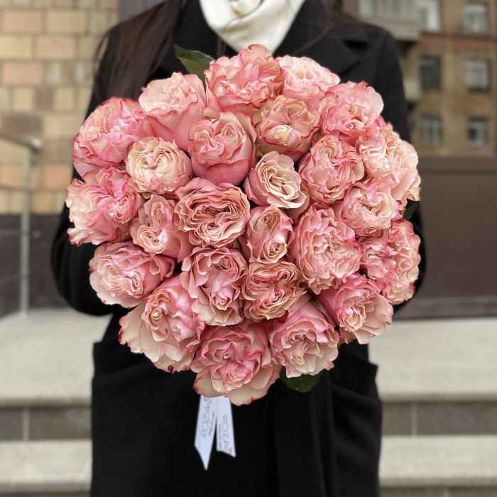 Роза Кантри Кенди пионовидная 50 см 