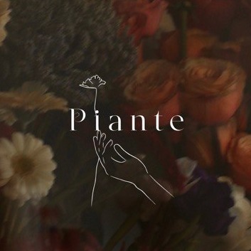 Piante Кропивницького